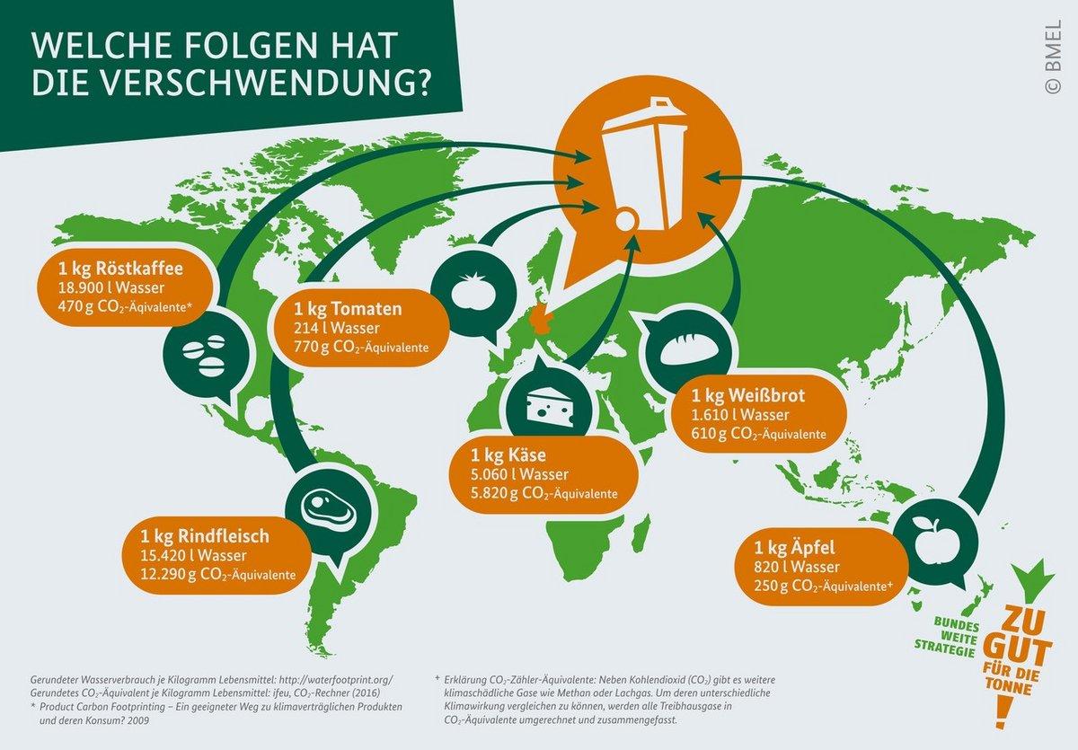 Förderprogramme Und Ihre Auswirkungen Auf Die Umwelt