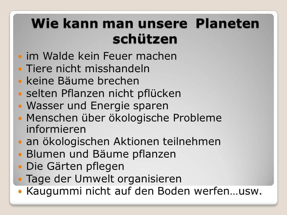 Förderprogramme Und Ihre Auswirkungen Auf Die Umwelt